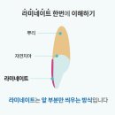 연세사랑치과의원 이미지