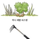 대진웰딩