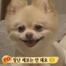 동물농장 - 양산시 양산역로 85 | 동물농장