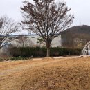 아화중학교 이미지