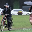 여우비 이미지