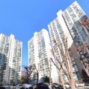 백두한양 | 산본 8단지 vs 9단지 신혼부부 솔직 임장 후기 – 직접 걸어보니 알겠네!