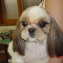 창생동물병원 이미지