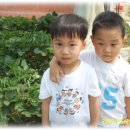 진서농장 이미지