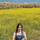 수성당 | [국내여행] 전북 부안 변산반도 제주도만큼 유채꽃밭이 유명한 ‘수성당’ 방문후기