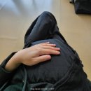 농협정건설빌딩 | 호홍이랑 함께하는 32주차~35주차 일상