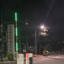 낙생대공원 | 성남 판교 테니스장 낙생대공원 테니스장 삼일절 공휴일 첫타임 이용후기