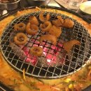 돼지갈매기
