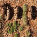 보배어린이공원 이미지