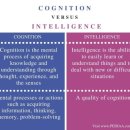 cognition conscious perception sensation 이미지