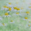 시립은평실버케어센터 네이버블로그