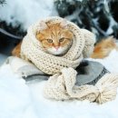 공장 신축공사 이미지