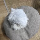 &#34;매일 사용하는 고양이 넥카라 🐾 한몸처럼 편안하게! 만족 사용 후기&#34;