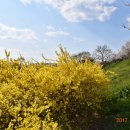 금호강8 이미지