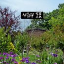 숲속의아침(선유원) 이미지