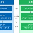 벌초나라