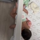 코코럭스 | 아기침대 데이베드 없이 해결｜토퍼+가드 조합 후기 (20만원대 가성비, 럭스나인 토퍼+아누리 가드)