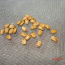 죽변슈퍼 이미지