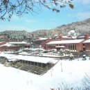 학교법인신흥학원 이미지