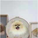 멍케이크 이미지