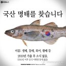 ▶자연과 생활 (2015/01월/5째주) 이미지