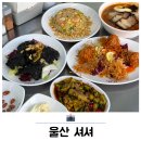 중국집 | 울산 삼산 점심 맛집 홍콩감성 중국집 셔셔 후기