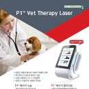 아이윌24시동물병원 이미지