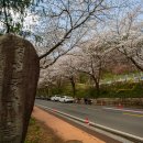 한수제 일원 이미지