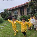 이천 숲체험 어린이집 후기｜실제 나비와 애벌레를 관찰한 생태수업