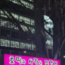 호떡과사랑은뜨겁게