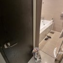 나인브띠크호텔 | 서울 근교 온천 가족탕 호텔! 월문 온천 단지~ 이번엔 나인브띠크 방문 후기