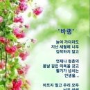 사랑방 이미지