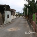 자연나라숲속유치원 이미지