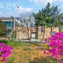 신진도민박 이미지