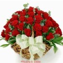 수요일 Daum카페