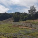 송산목장 이미지