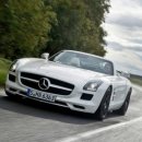 지오디독 이미지