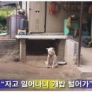 대추밭골 Daum카페