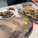 희망청과농수산물 | 수원농수산물시장 회 포장, 희망수산 NNN번째 이용, 봄도도다리회, 알쭈꾸미