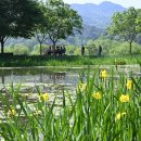 거창-거창-13 오마이뉴스