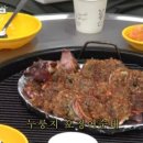 모자가리비 이미지