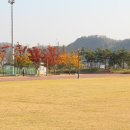 율하체육공원 축구장 이미지