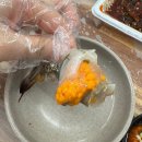 (주)나라엘 | [가락시장] ‘바다나라’ 꽃게회 꽃게찜 맛집 후기(내돈내산)