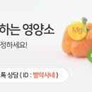 별이네식품