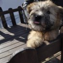 성화중학교 이미지