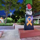 장미의거리10 이미지