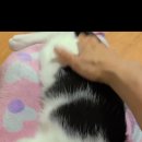 뚜뚜빵빵 이미지