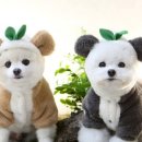 잇츠멍 이미지