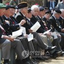 설마리 연합뉴스