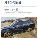 4륜구동을 맹신한 결과. 이미지